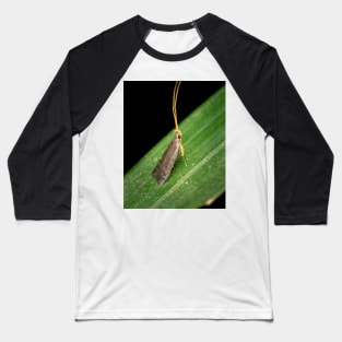 A Long-horned Moth (lecithocerids) standing tall and proud Baseball T-Shirt